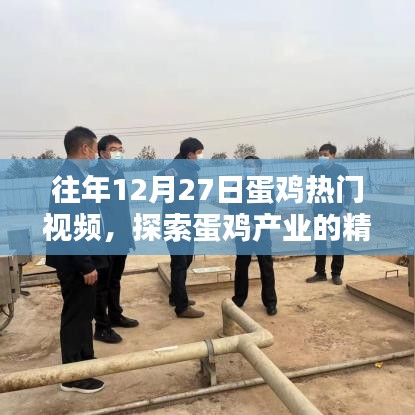 七上八下 第3页