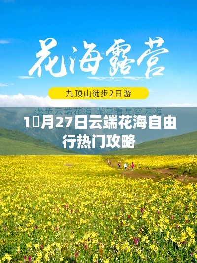 云端花海自由行，热门攻略一网打尽