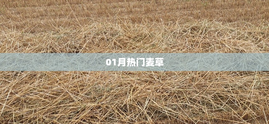 热门麦草风潮席卷一月！