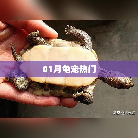 草率从事 第3页