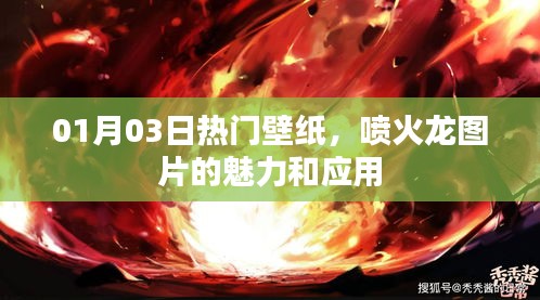 喷火龙魅力与应用，精选壁纸分享