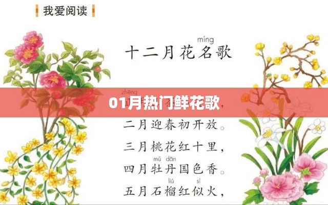 热门鲜花歌曲大盘点，一月精选歌曲推荐