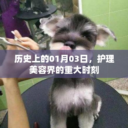 偷工减料 第3页