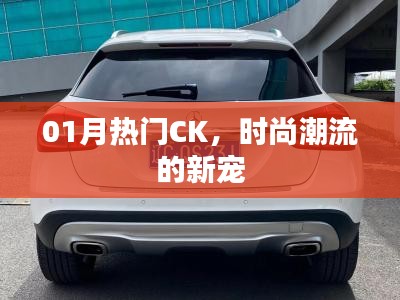 时尚新宠，CK一月潮流精选