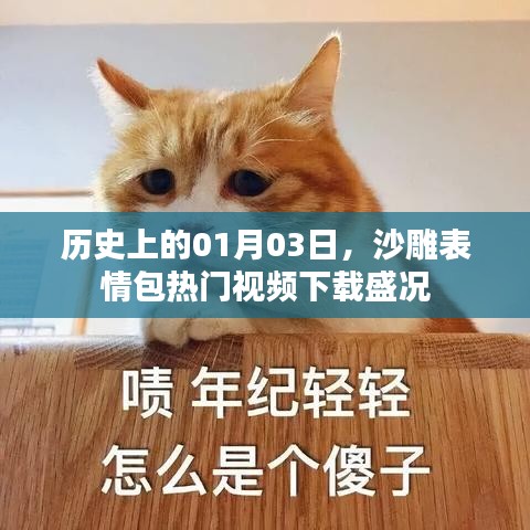 澹泊明志，宁静致远 第3页