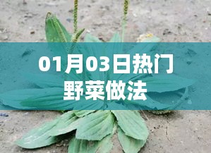 空前绝后 第4页