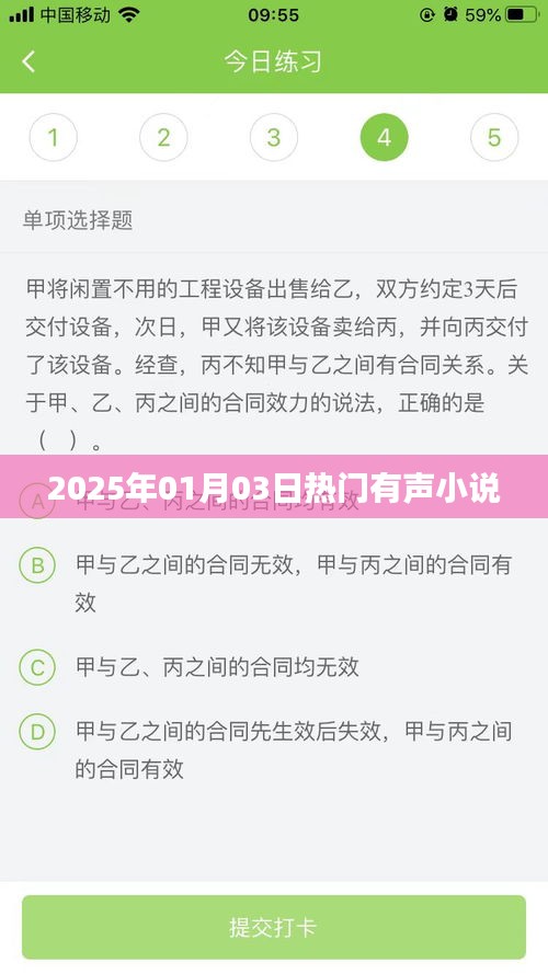 2025年1月热门有声小说推荐