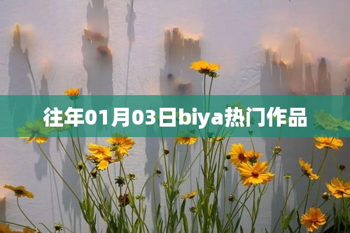 往年元旦后Biya平台热门作品盘点