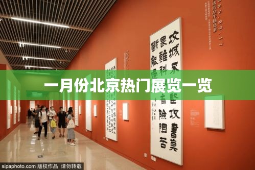 美如冠玉 第3页