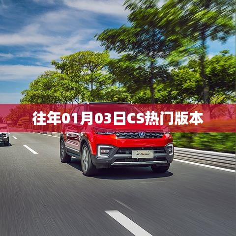 粗枝大叶 第3页