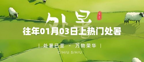 处暑时节成热点，历年热议不断