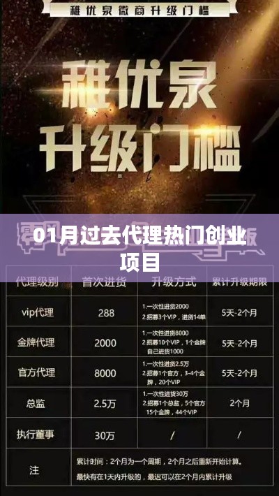 热门创业项目代理回顾，一月概览