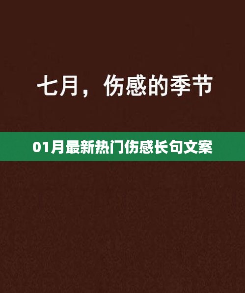 2025年1月6日 第22页