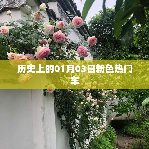 2025年1月6日 第16页