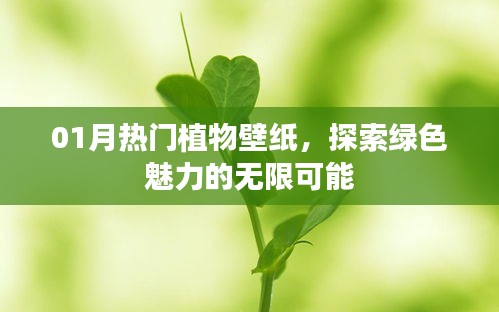 「热门植物壁纸，探索绿色魅力」