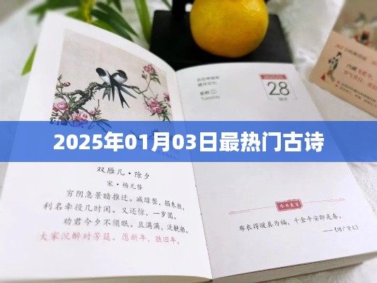 古诗热潮，2025年元旦古诗盘点