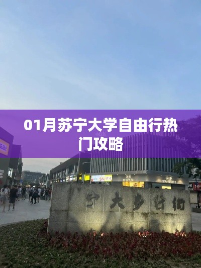 苏宁大学自由行一月攻略大解析
