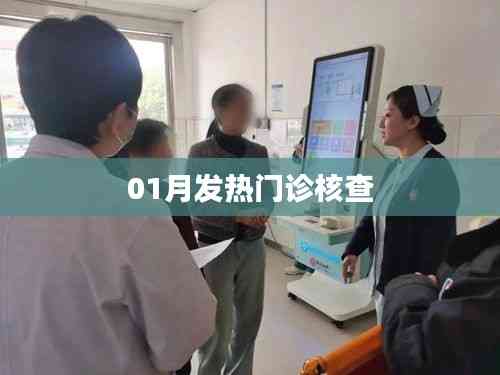 01月发热门诊工作核查报告