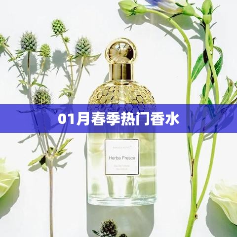 七嘴八张 第3页