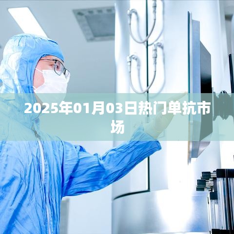 杳无音信 第3页