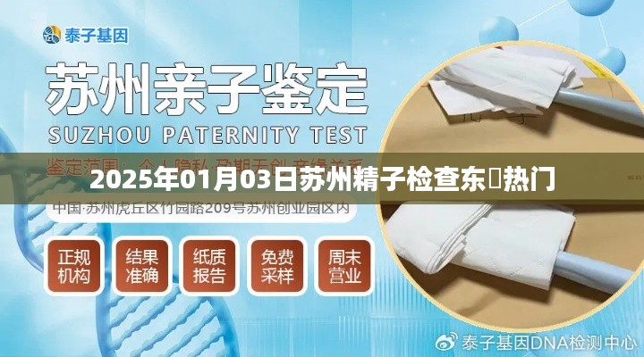 双瞳剪水 第3页