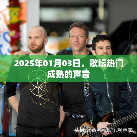虚张声势 第3页