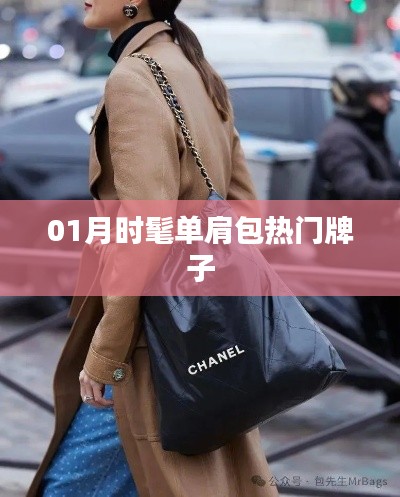 时尚单肩包热门品牌榜单揭晓