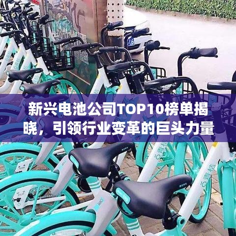 新兴电池公司TOP10榜单揭晓，引领行业变革的巨头力量