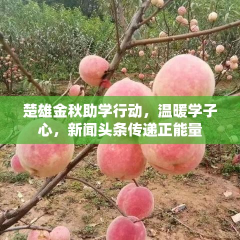 神清气爽 第4页