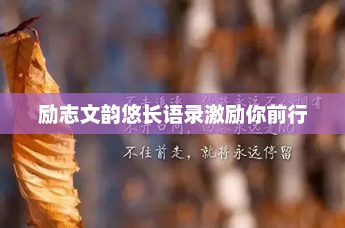 雍容雅步 第3页