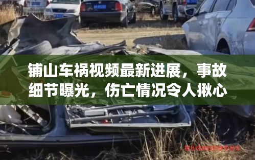 铺山车祸视频最新进展，事故细节曝光，伤亡情况令人揪心