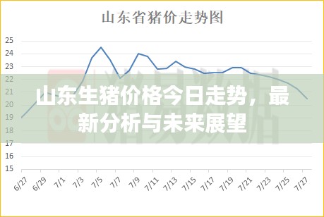 山东生猪价格今日走势，最新分析与未来展望
