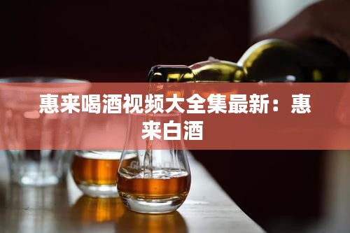 惠来喝酒视频大全集最新：惠来白酒 
