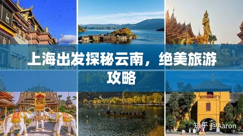 虎视眈眈 第3页