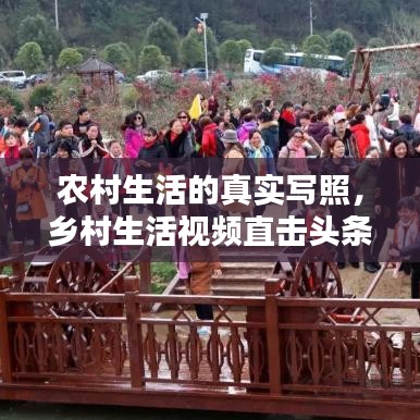 反朴还淳 第3页
