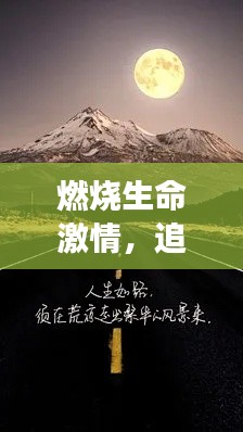 倦鸟知还 第3页