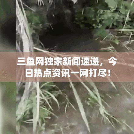 浅笑轻吟梦一曲 第2页
