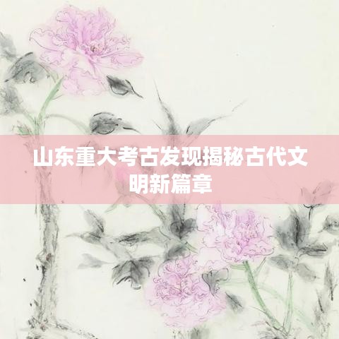 山东重大考古发现揭秘古代文明新篇章