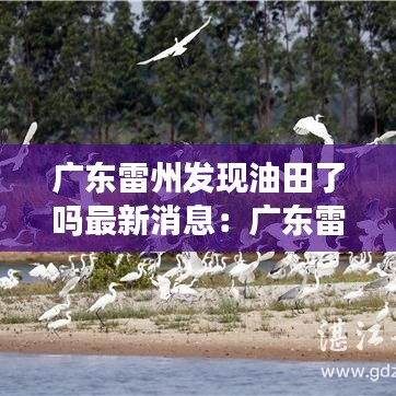 广东雷州发现油田了吗最新消息：广东雷州最新今日头条新闻 