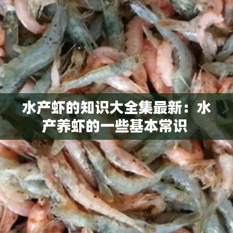 诚心诚意 第3页