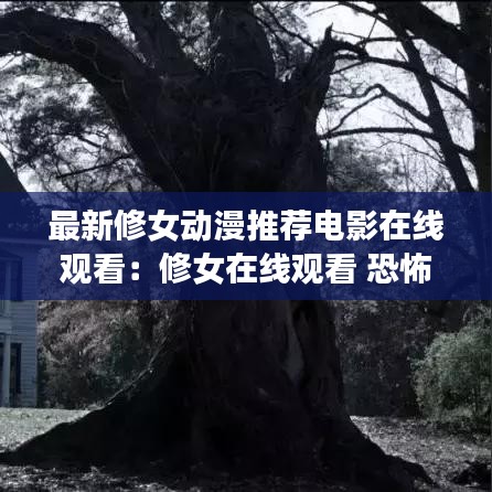 最新修女动漫推荐电影在线观看：修女在线观看 恐怖片 