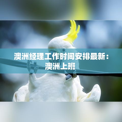 澳洲经理工作时间安排最新：澳洲上班 