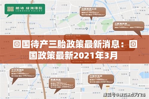 回国待产三胎政策最新消息：回国政策最新2021年3月 