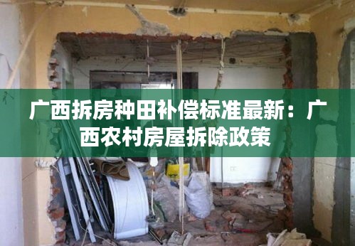 广西拆房种田补偿标准最新：广西农村房屋拆除政策 
