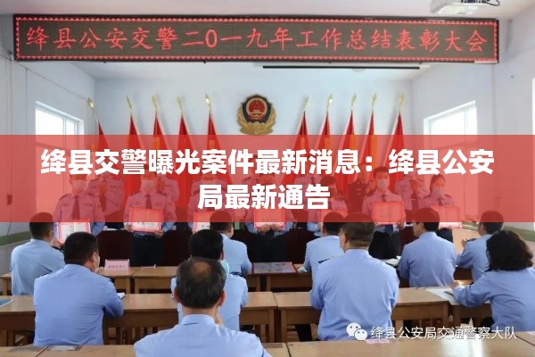 无影无踪 第3页