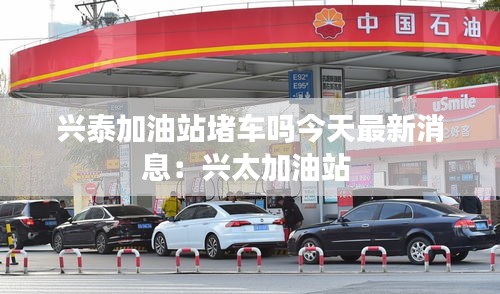 张皇无措 第3页