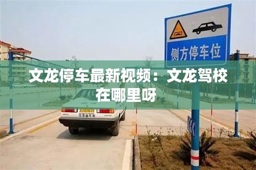 文龙停车最新视频：文龙驾校在哪里呀 