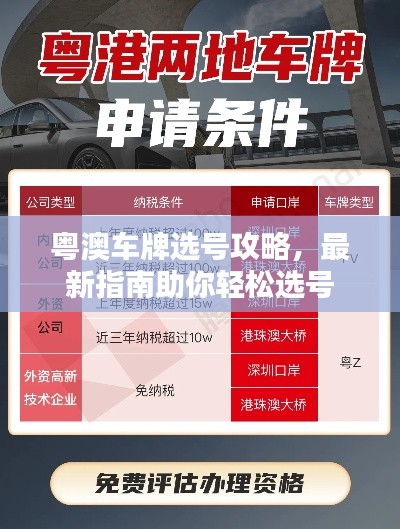 粤澳车牌选号攻略，最新指南助你轻松选号