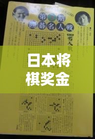 日本将棋奖金标准最新是多少：日本将棋比赛视频 