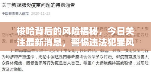 螓首蛾眉 第5页